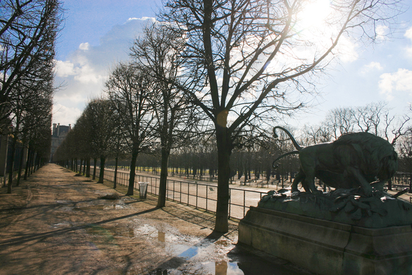 Jardin des Tuileries, 2009