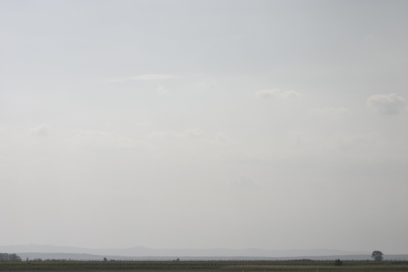 Monotony. Seewinkel, 2009
