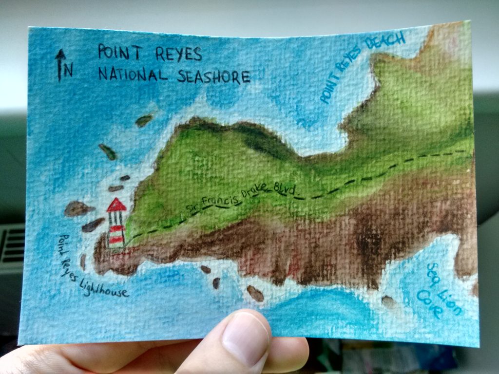 Point Reyes National Seashore. 2016