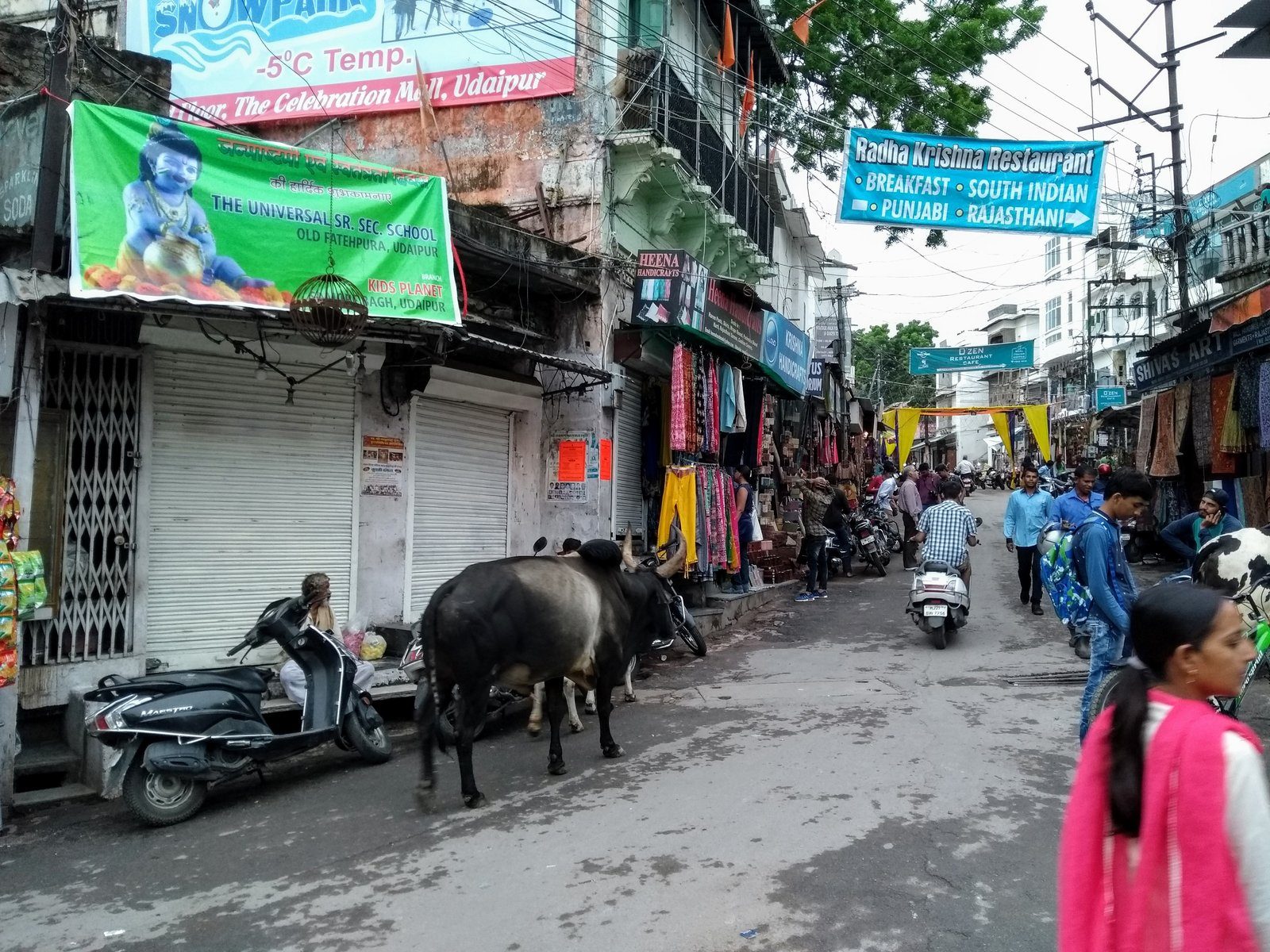 Udaipur, 2017